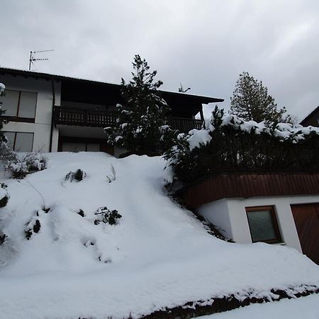 Haus Panorama Mit Alpenblick Villa Kleines Wiesental Eksteriør billede