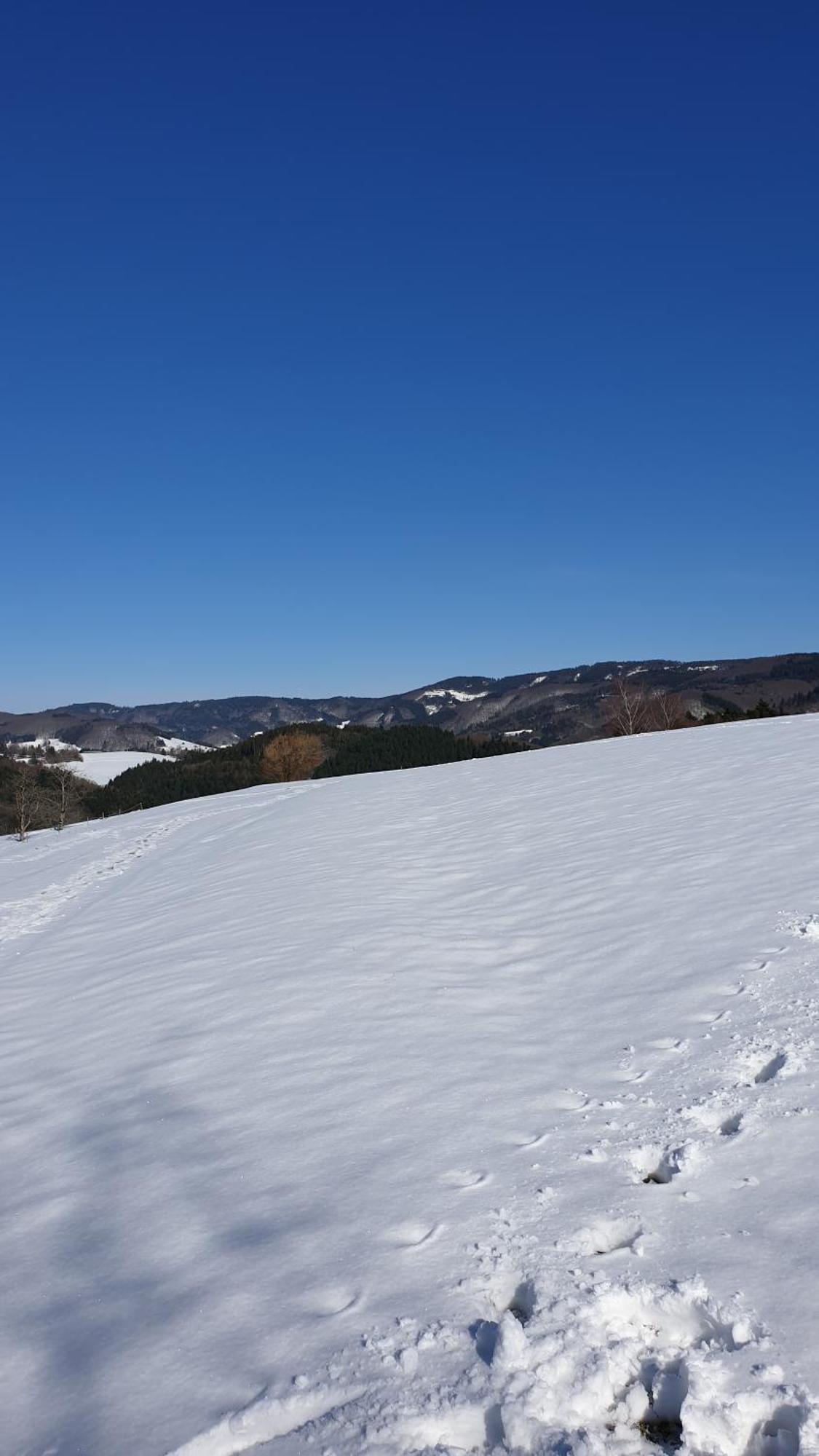 Haus Panorama Mit Alpenblick Villa Kleines Wiesental Eksteriør billede